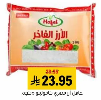 حافل ارز مصري كامولينو محكم.