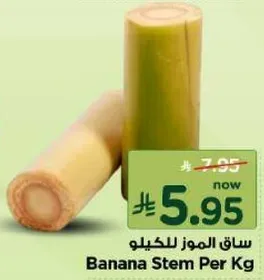 ساق الموز للكيو