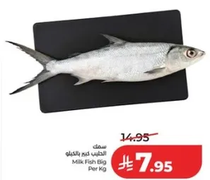Milk Fish Big Per Kg