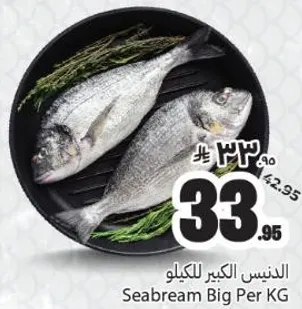 الدنيس الكبير للكيو