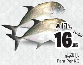 بارا للكيلو