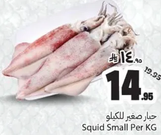 حبار صغير للكيلو