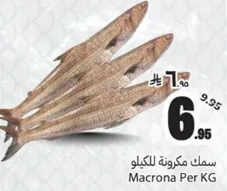 سمك مكرونه للكليو