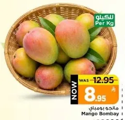 مانجو بومباي