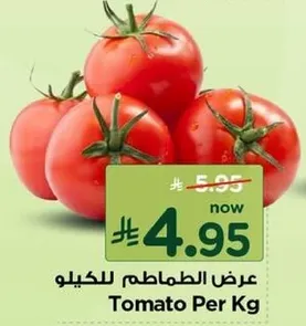 عرض الطماطم للكيو