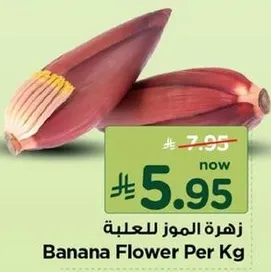 زهره الموز للعليقه