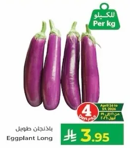 باذنجان طويل