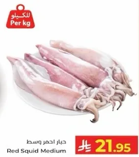 حبار احمر وسط