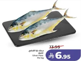 سمك باري الفضي للكيلو