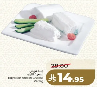 جبنه قريش مصنعه للكل