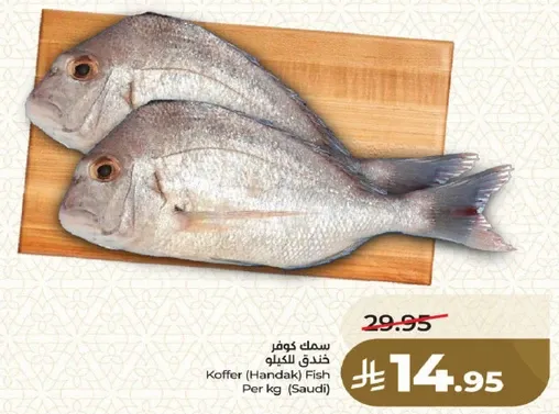 سمك كوفر خنقيل