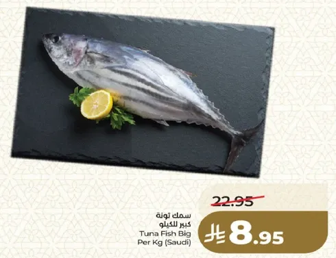 Tuna Fish Big Per Kg (Saudi)