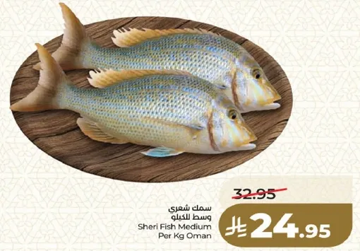 سمك شعري وسط الكيلو