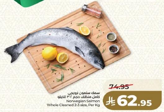 سمك سالمون نرويجي كامل نظيف حجم 2-3 كيلو