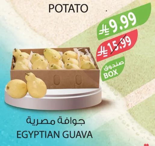 جوافه مصريه