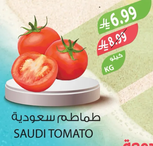 Saudi tomatoes