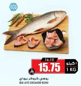 Big Aye Croaker Rohu