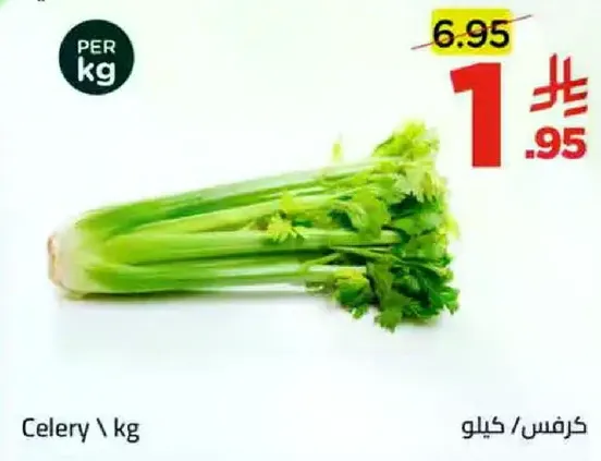 Celery