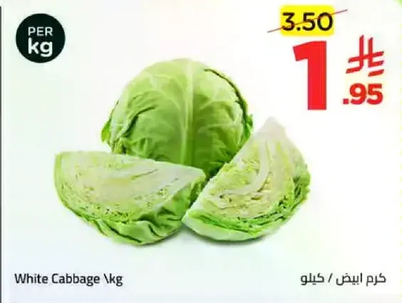 White Cabbage