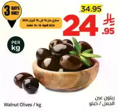 زيتون الجوز / كيلوجرام