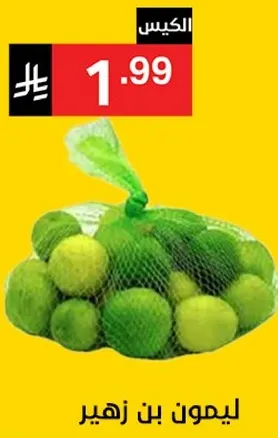 ليمون بن زهير