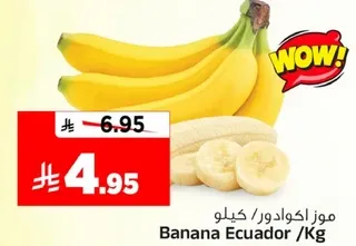 موز اكوادور /كيلو