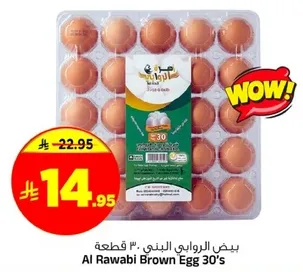 بيض الروابي البني 30 قطعه