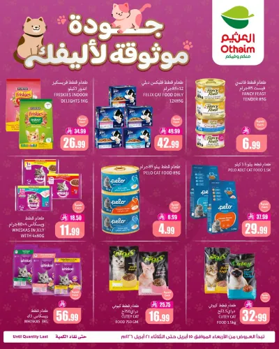 عروض طعام القطط