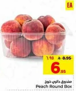 صندوق داني ذوق