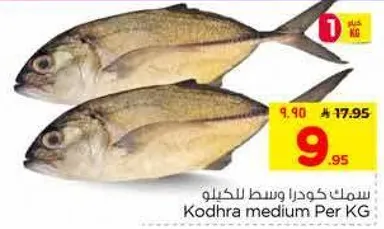 سمك كودرا وسط للكيلو