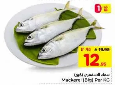 سمك الاسفمري (كبير) لكل كيلو