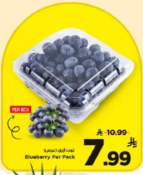 توت ازرق (عرض)