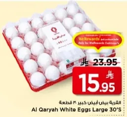 القريه بيض ابيض كبير 30 قطعه