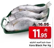 سمك كورا اسود للكيلو