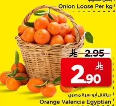 برتقال ابو سره مصري