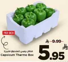 فلفل رومي (صندوق فلفلين)