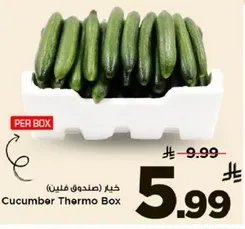 خيار (صندوق فلين)