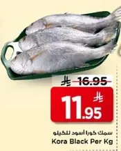 سمك كورا اسود للكيلو