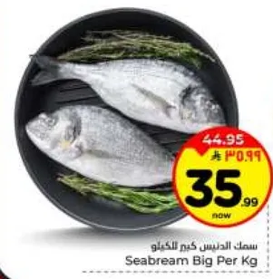 سمك الدنيس كم للكيلو