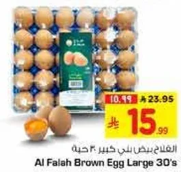 الفقاع بيض بلدي كبير 30 حبه