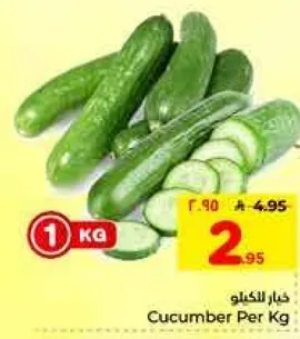 خيار الكيلو