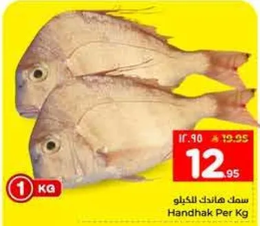 سمك هاندك للكيلو