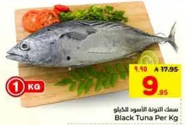 سمك التونه الاسود لكل كيلو