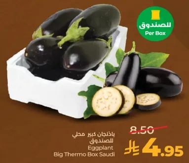 باذنجان كبير محلي