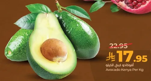 افوكادو كينيا لكل كيلو