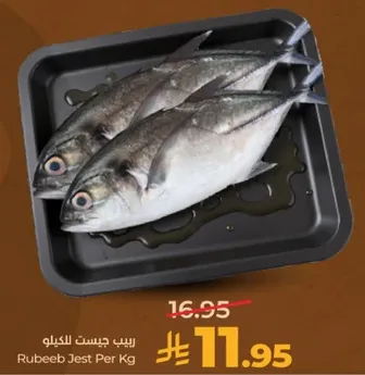 ربي جست للكيلو