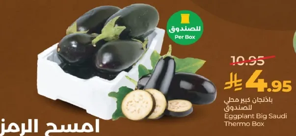 باذنجان كبير محلي