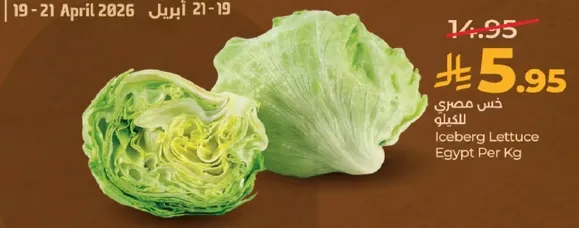 خس مصري الكيلو