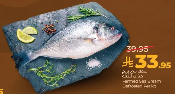 سمك سي بريم مزارع مجمد لكل كيلو