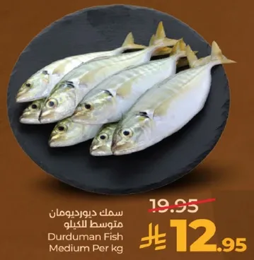 سمك دورديمان متوسط للكilo